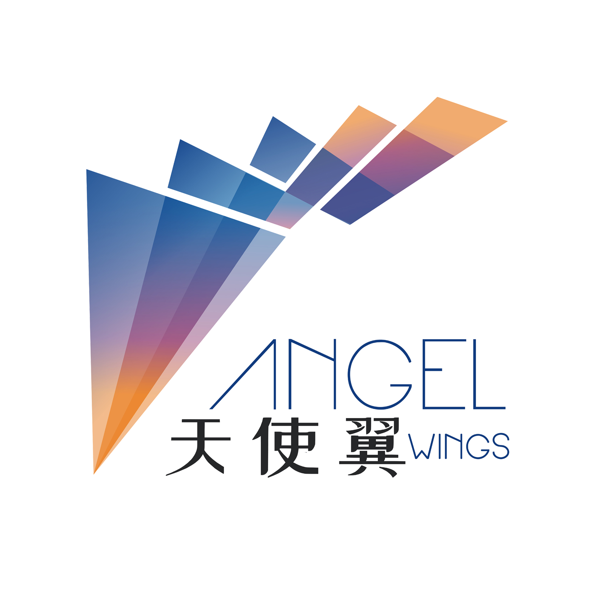天使翼（武汉）科技创业有限公司